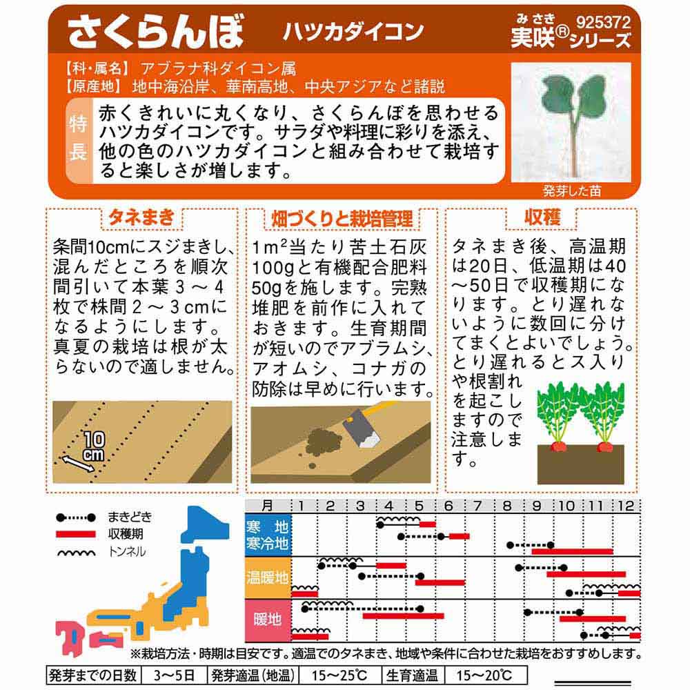ダイコン_ハツカダイコン_さくらんぼ　春秋兼用