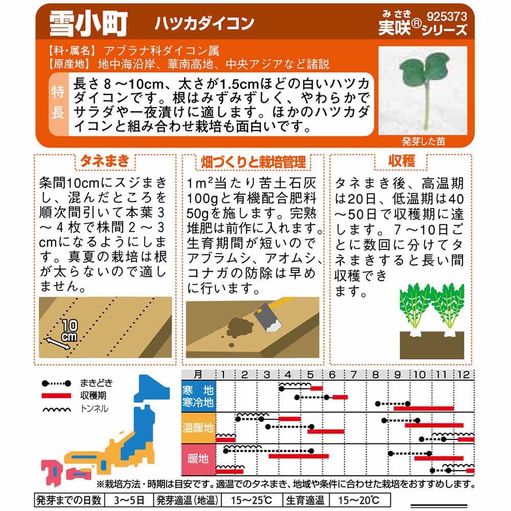 ダイコン_ハツカダイコン_雪小町　春秋兼用
