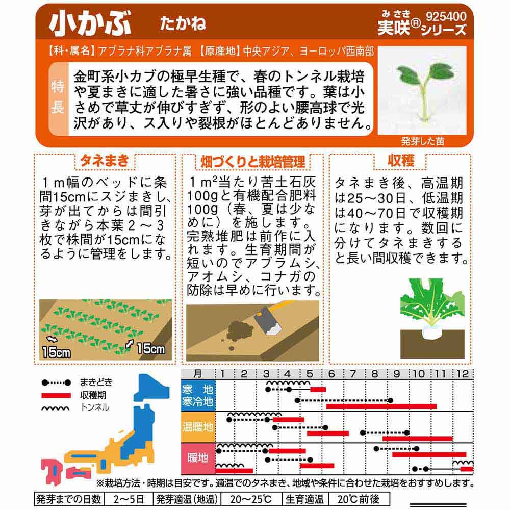 カブ_小カブ_たかね　春秋兼用
