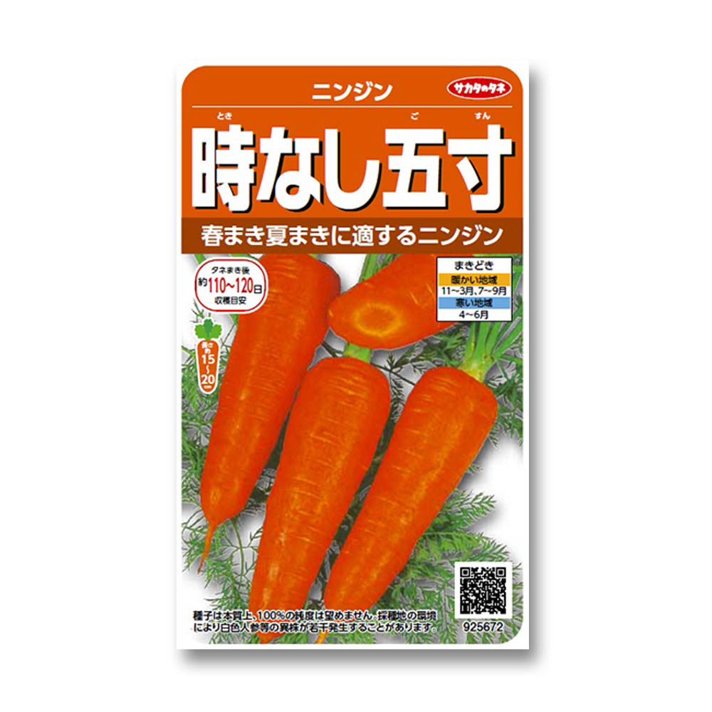 ニンジン_時なし五寸　春秋兼用