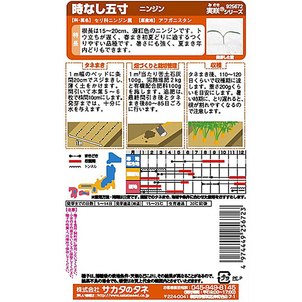 ニンジン_時なし五寸　春秋兼用