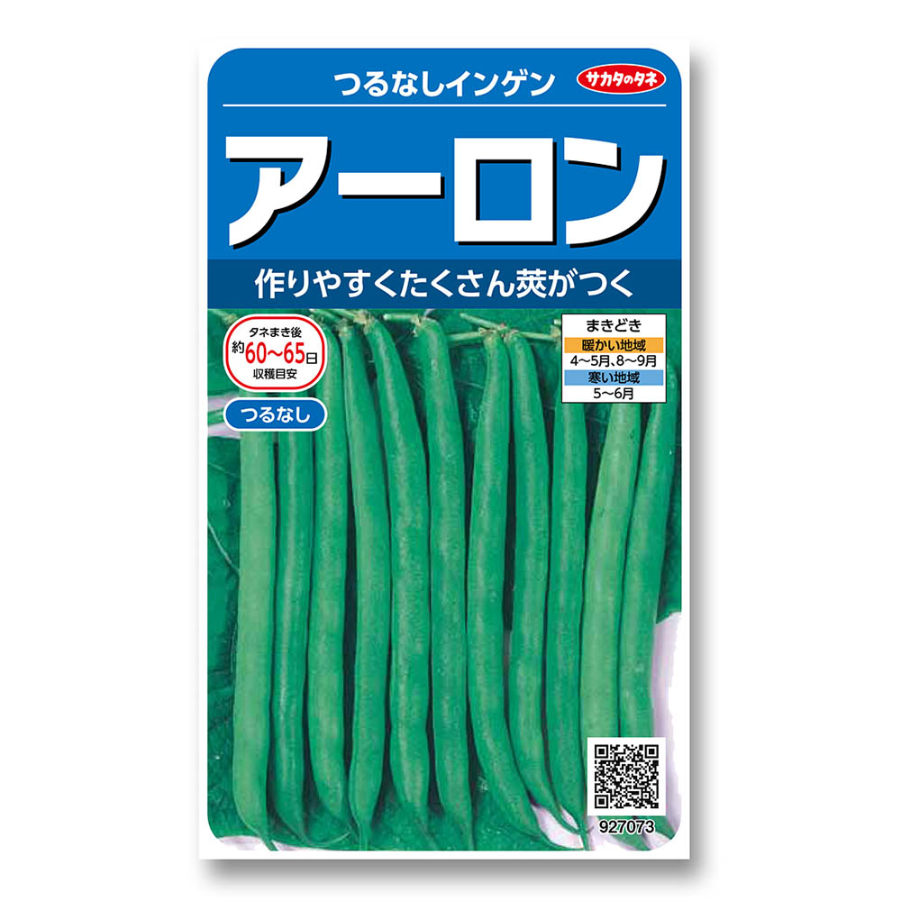 インゲン_つるなしインゲン_アーロン　春秋兼用