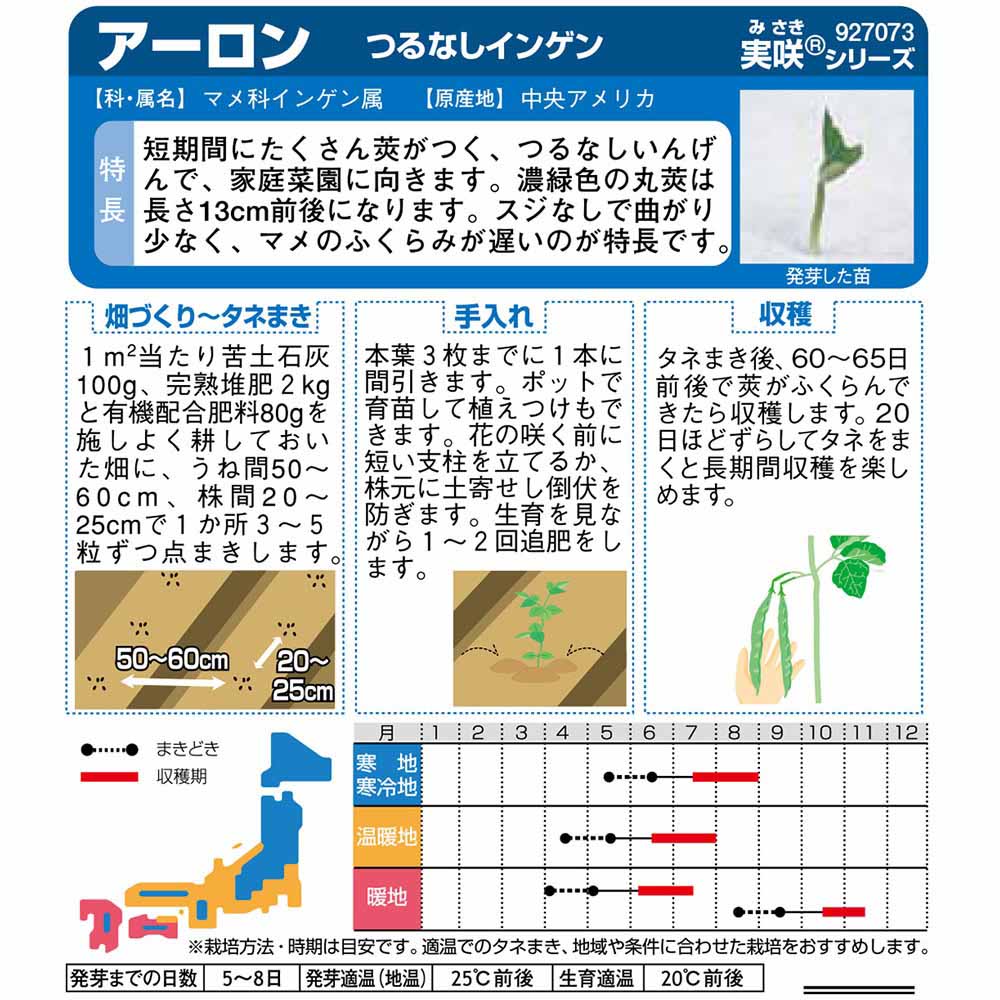 インゲン_つるなしインゲン_アーロン　春秋兼用