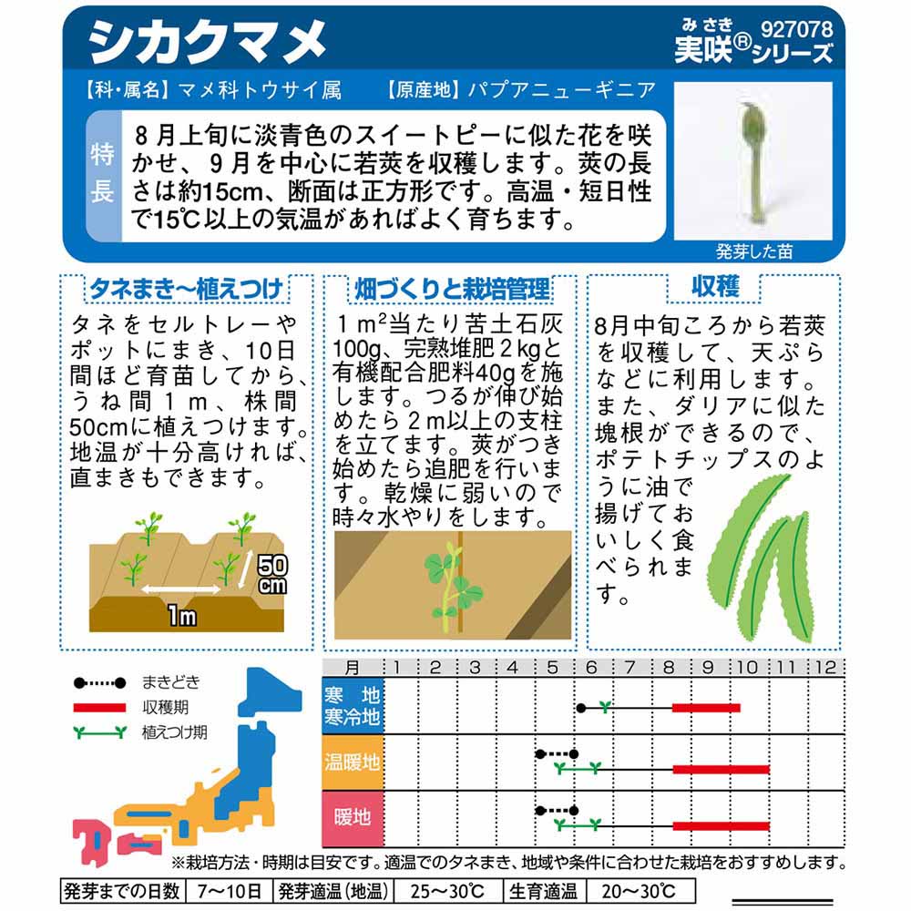 シカクマメ　春まき