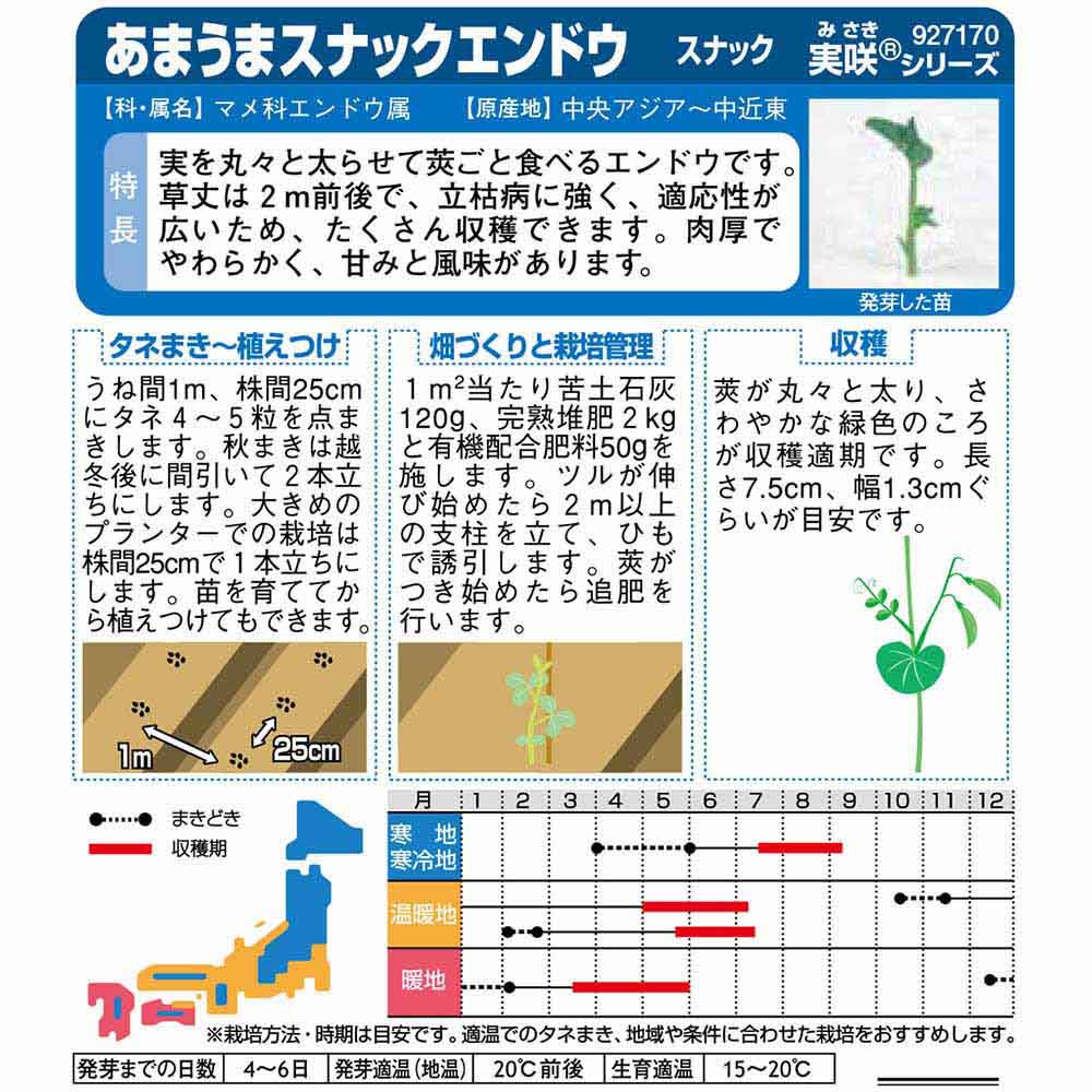 エンドウ_つるありエンドウ_スナック　春秋兼用