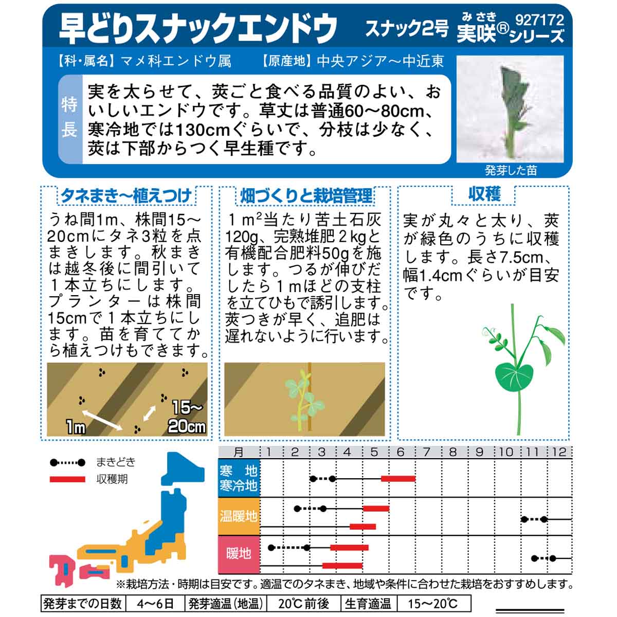 エンドウ_つるなしエンドウ　春秋兼用
