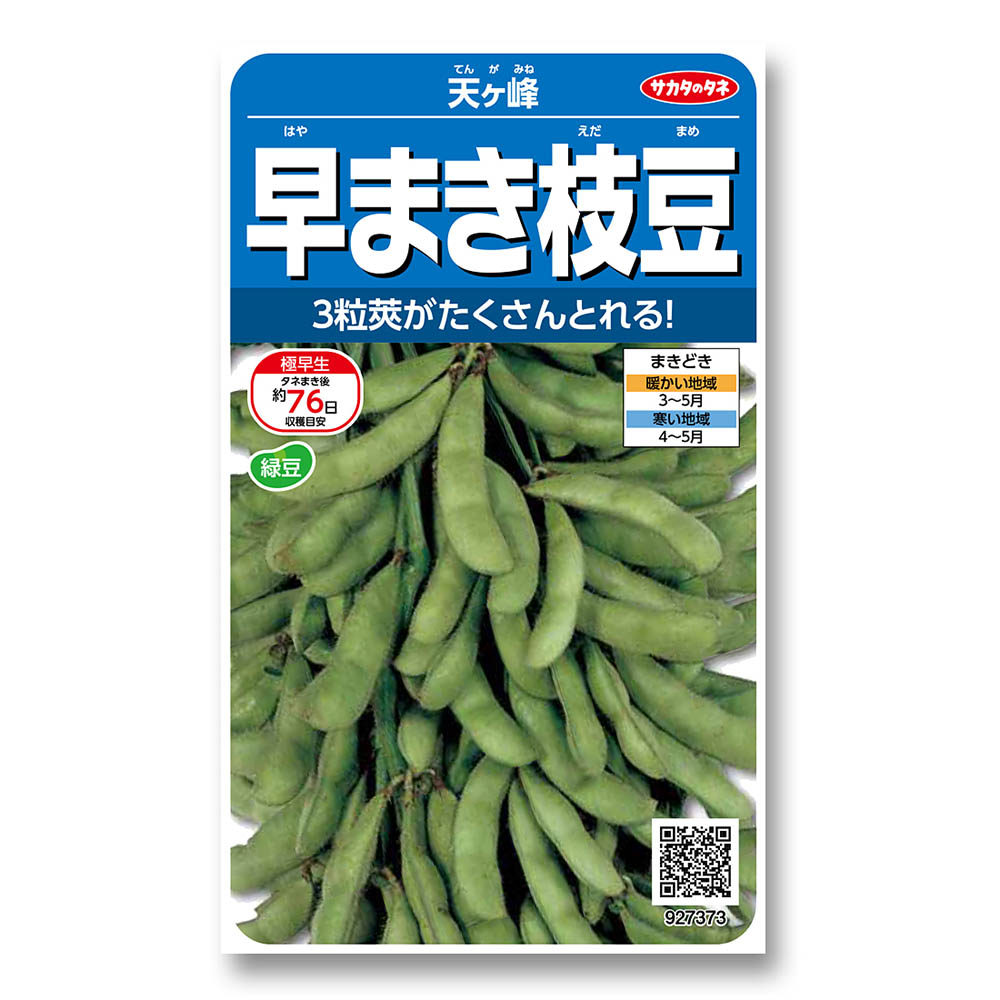 エダマメ_天ヶ峰　春まき