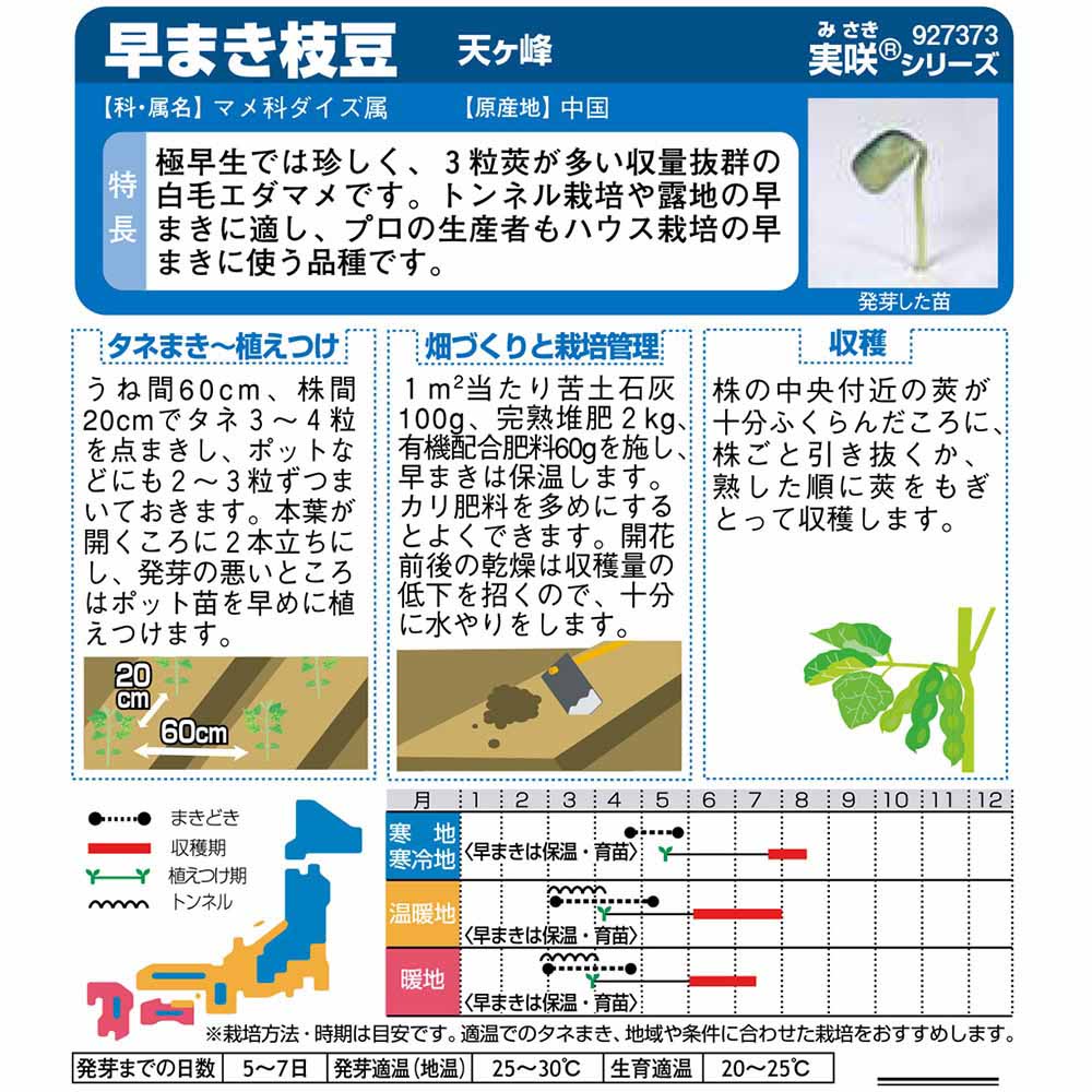 エダマメ_天ヶ峰　春まき
