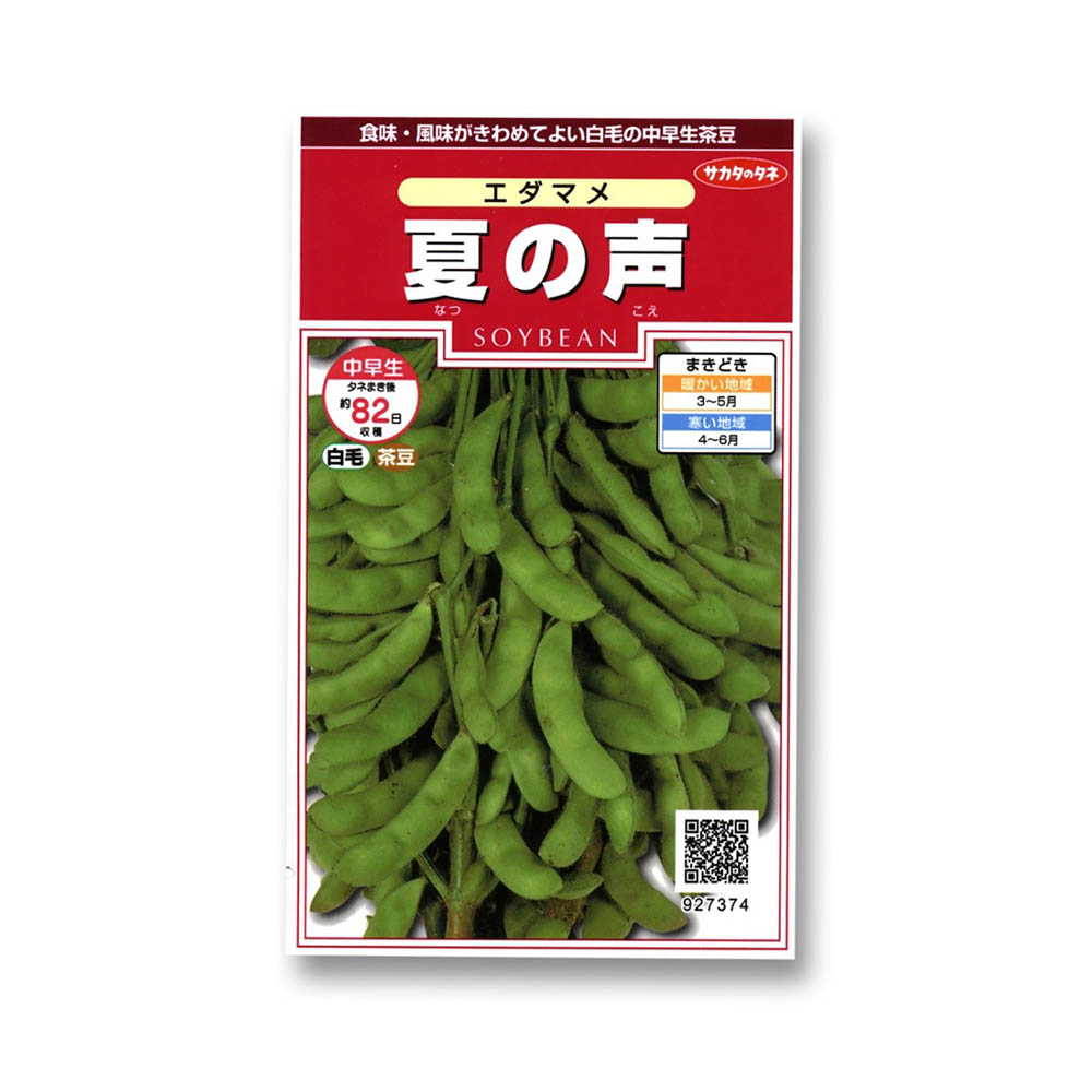 エダマメ_夏の声　春まき