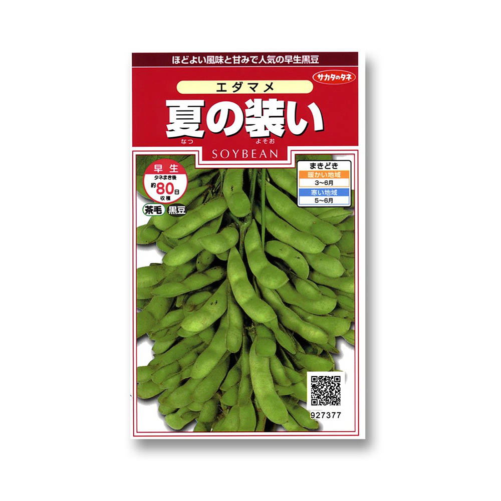エダマメ_夏の装い　春まき