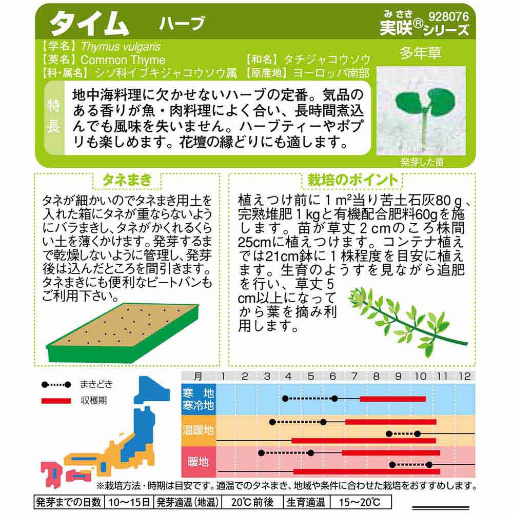 タイム_ハーブ　春秋兼用