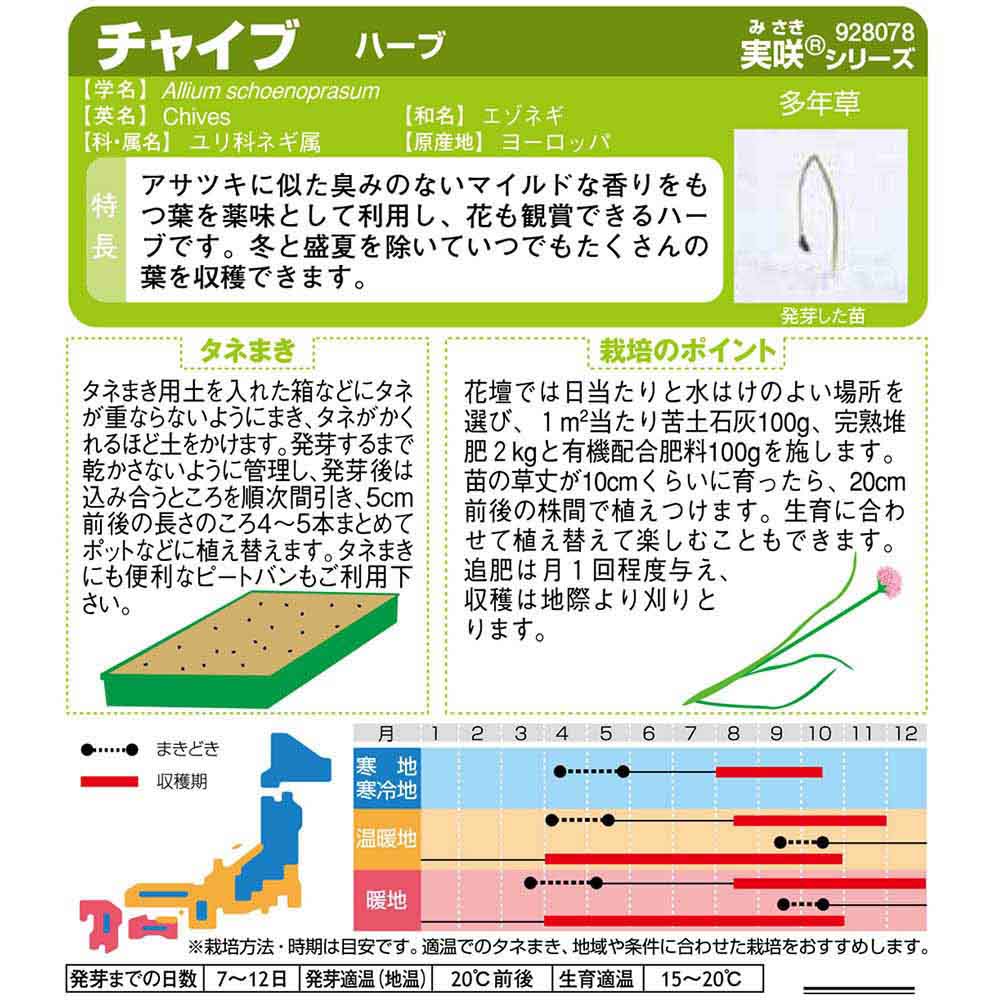 チャイブ_ハーブ　春秋兼用