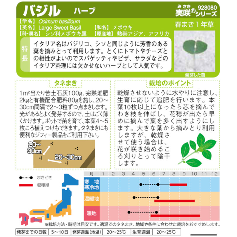 バジル_ハーブ　春秋兼用