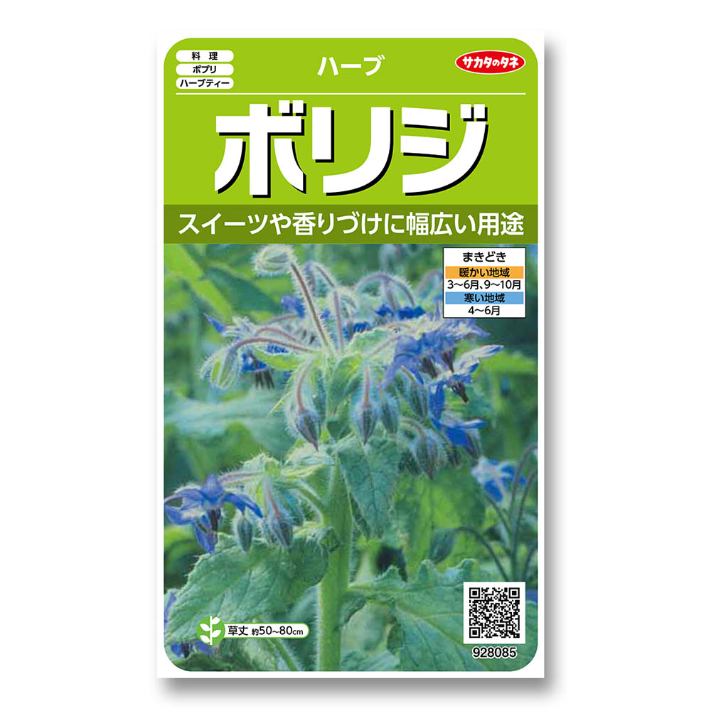 ボリジ_ハーブ　春秋兼用
