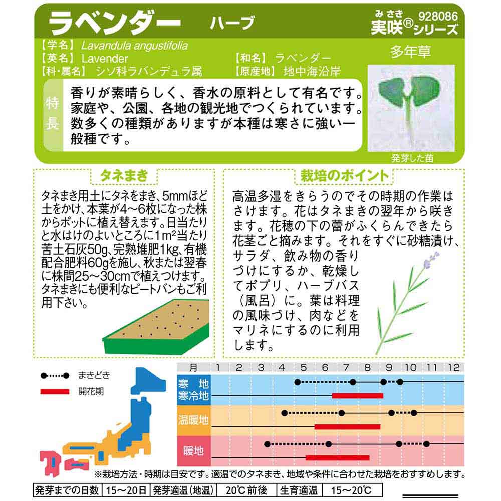 ラベンダー_ハーブ　春秋兼用