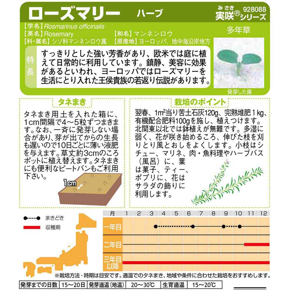 ローズマリー_ハーブ　春秋兼用