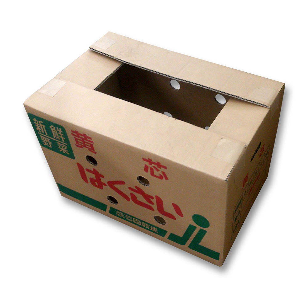 ダンボール 白菜 10kg 10kg ジョイフル本田 店舗受取サービス