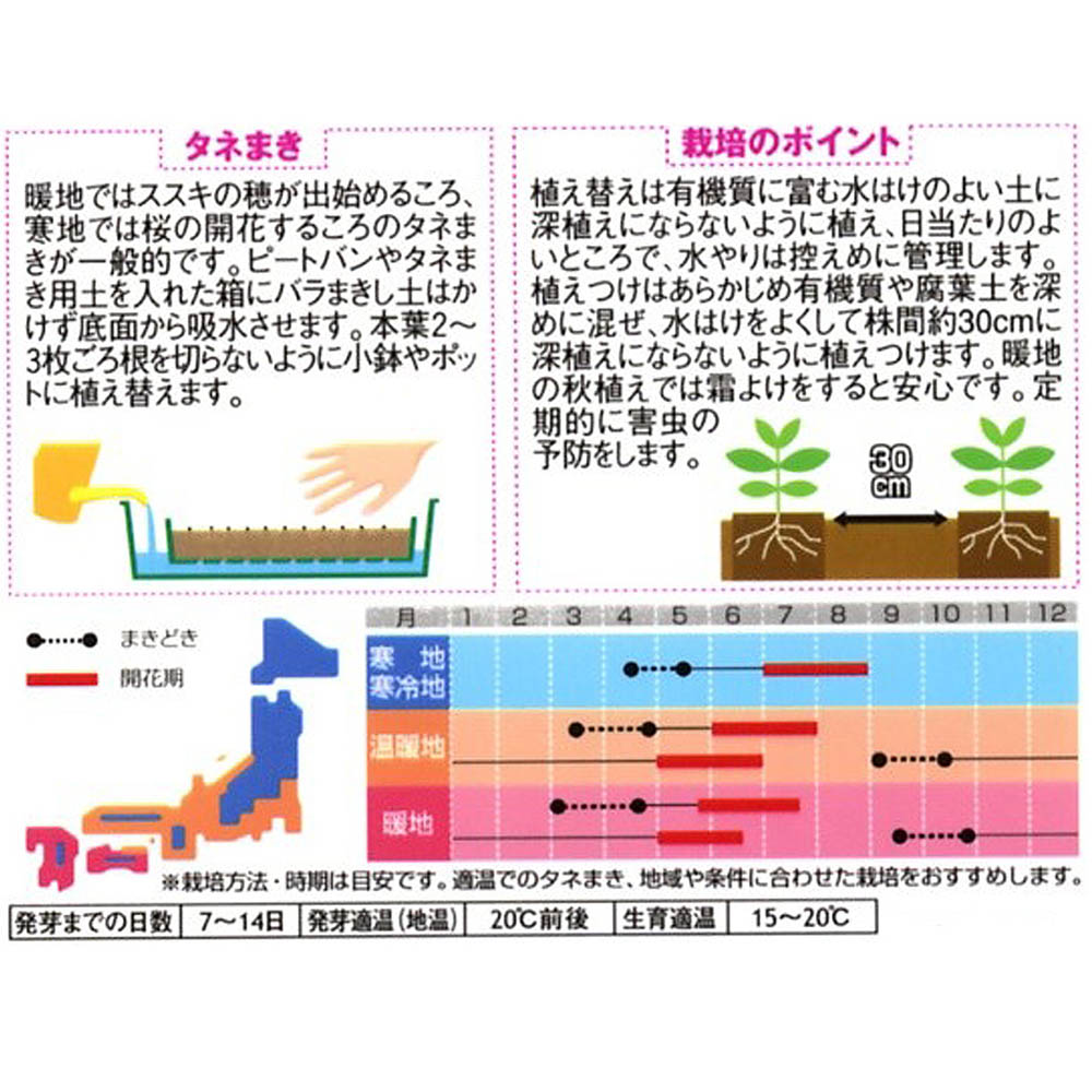 金魚草_ソネットミックス　春秋兼用