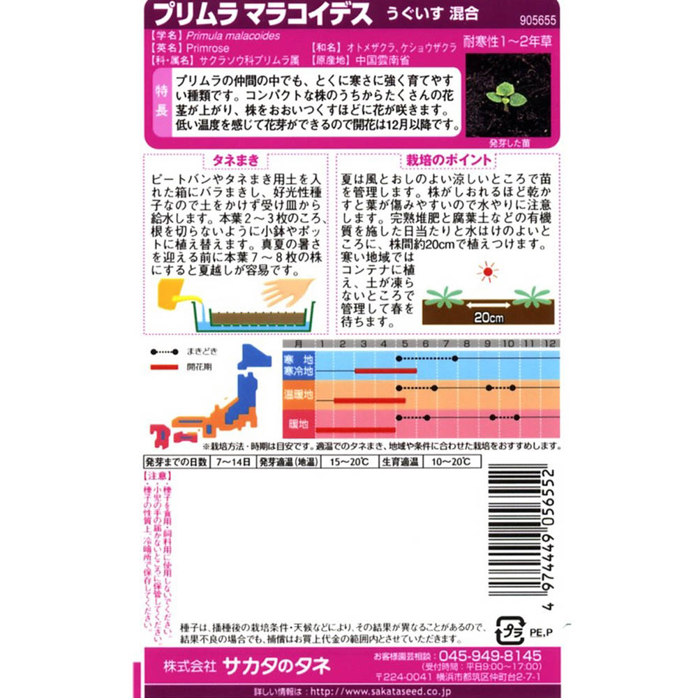 プリムラ_うぐいす混合　春秋兼用
