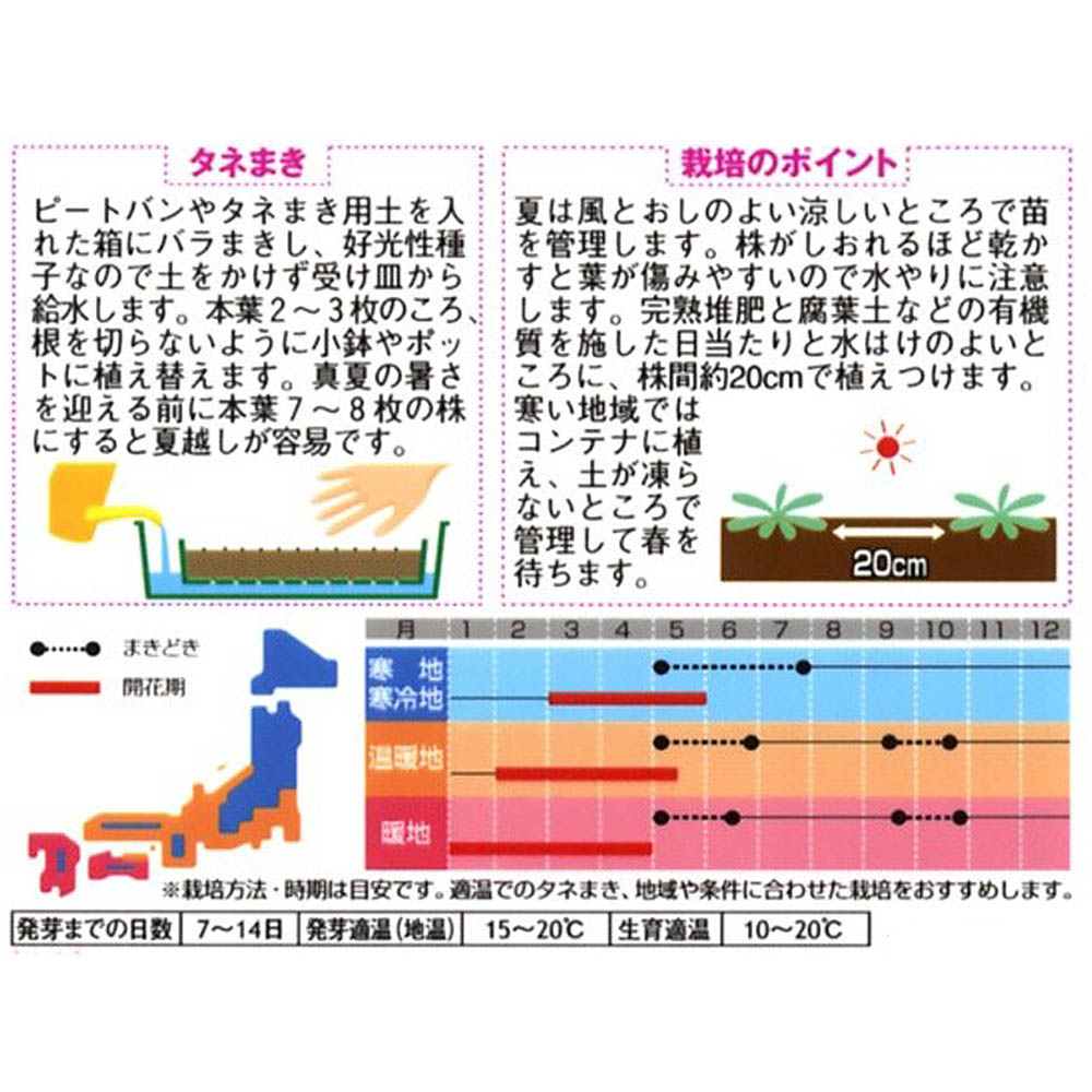 プリムラ_うぐいす混合　春秋兼用