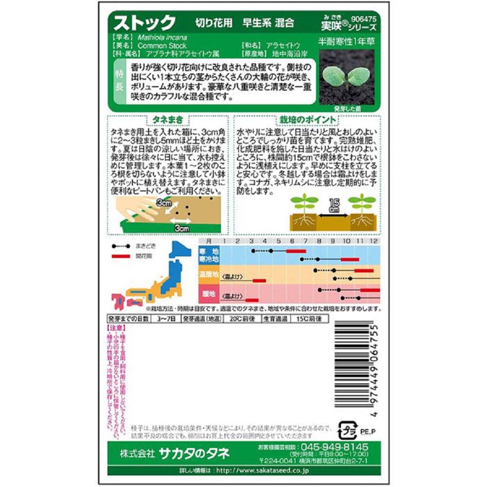 ストック_切り花用早生系混合　春秋兼用