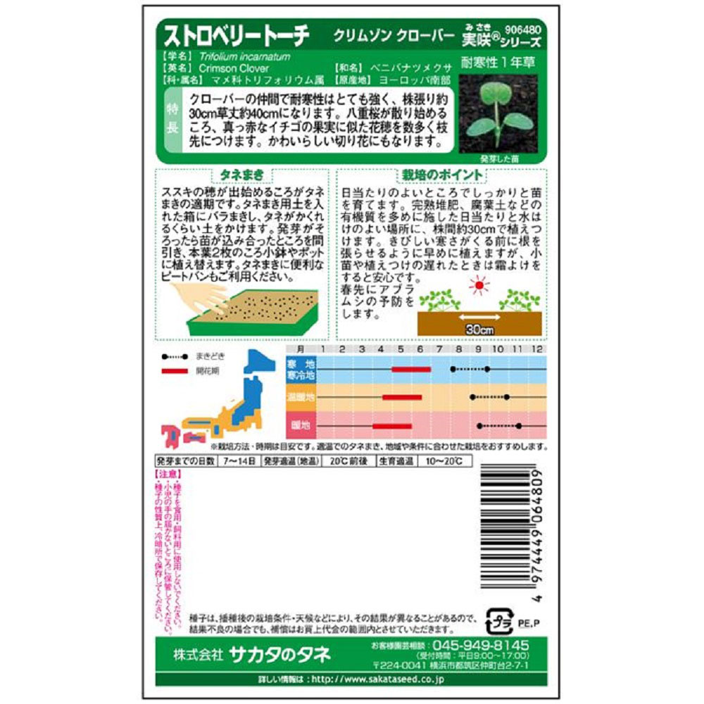 ストロベリートーチ_クリムゾンクローバー　春秋兼用