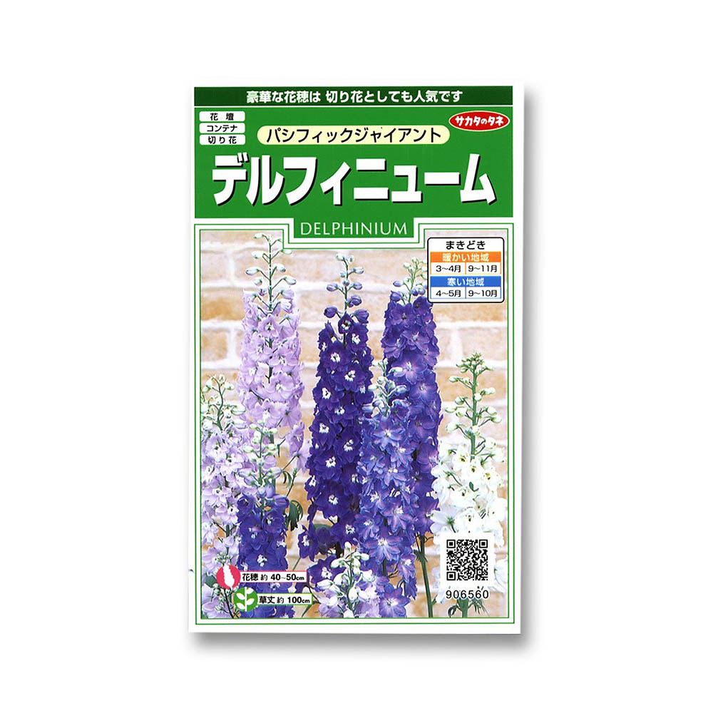 デルフィニューム_パシフィックジャイアント　春秋兼用