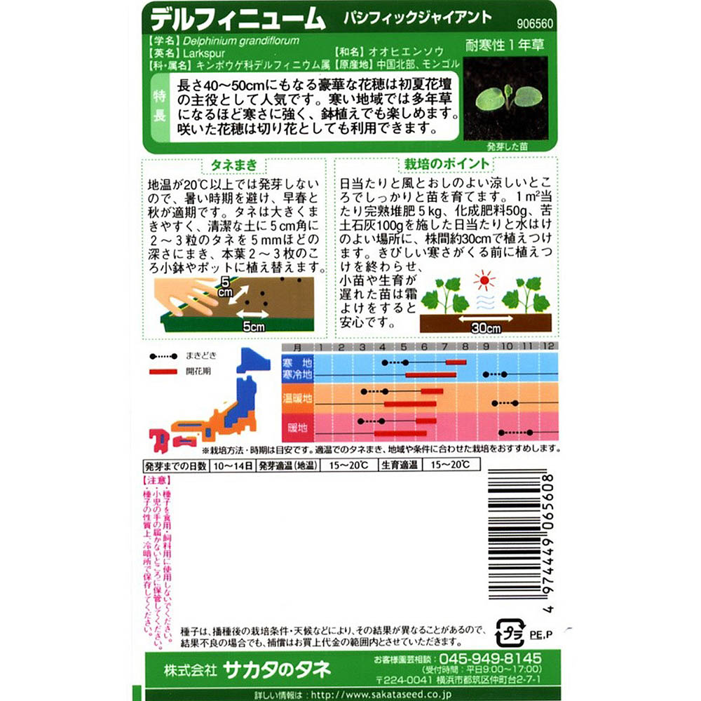デルフィニューム_パシフィックジャイアント　春秋兼用