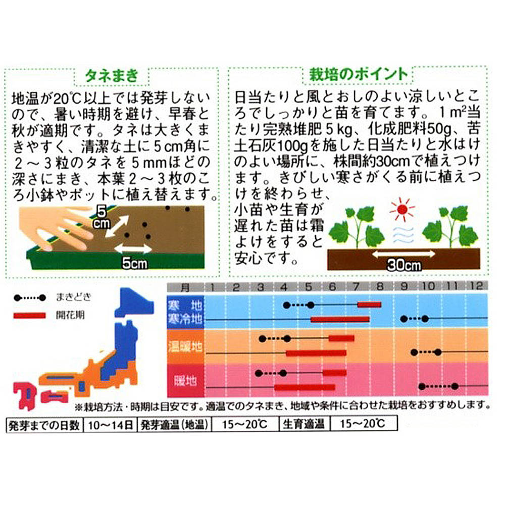 デルフィニューム_パシフィックジャイアント　春秋兼用