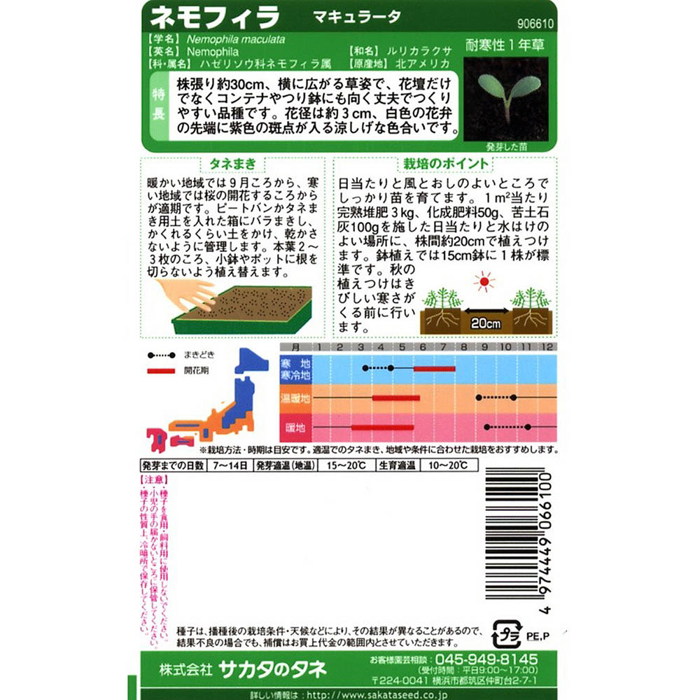 ネモフィラ_マキュラータ　春秋兼用