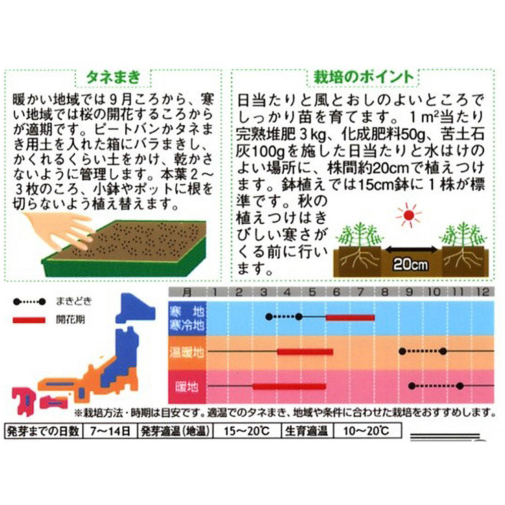 ネモフィラ_マキュラータ　春秋兼用
