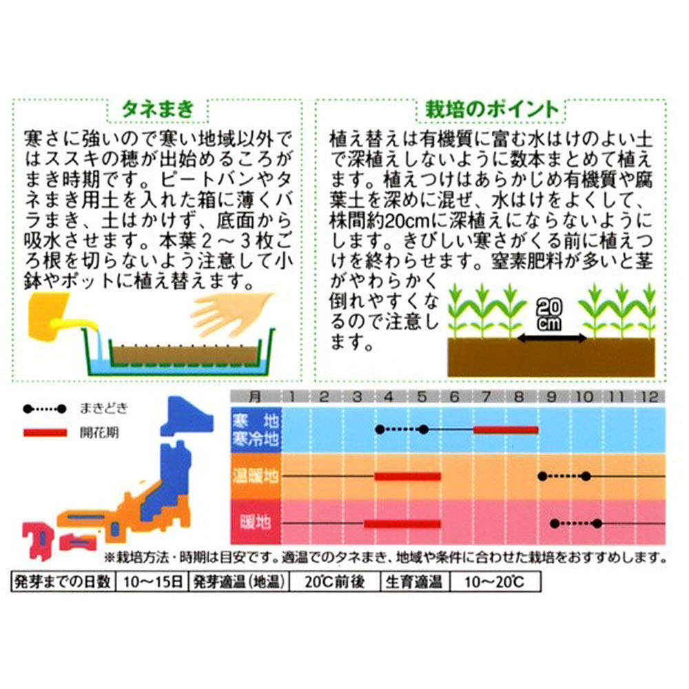 リナリア(姫金魚草)_高性混合　春秋兼用