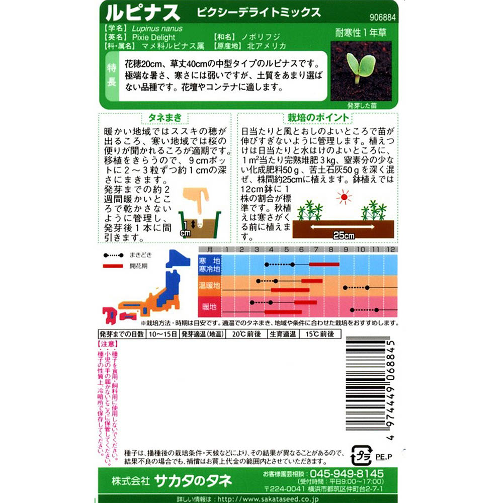 ルピナス_ピクシーデライト　春秋兼用