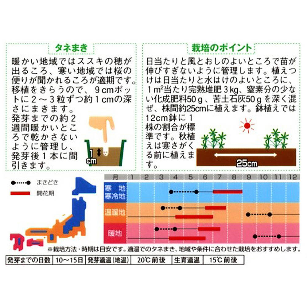 ルピナス_ピクシーデライト　春秋兼用