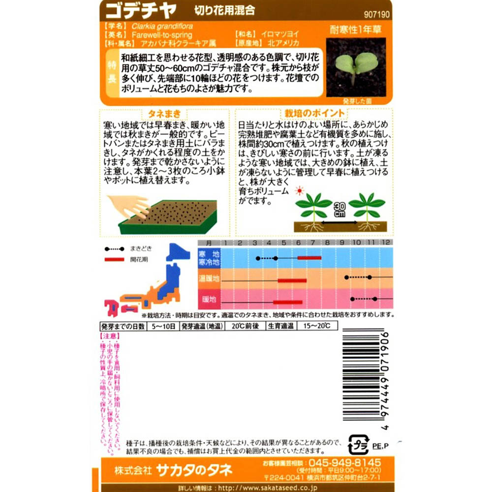 ゴデチヤ_切り花用混合　春秋兼用