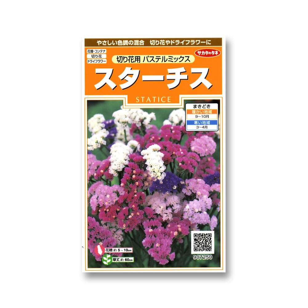 花種 スターチス 切り花用パステルミックス サカタのタネ ジョイフル本田 店舗受取サービス 花種 スターチス 切り花用パステルミックス サカタのタネ ジョイフル本田 店舗受取サービス