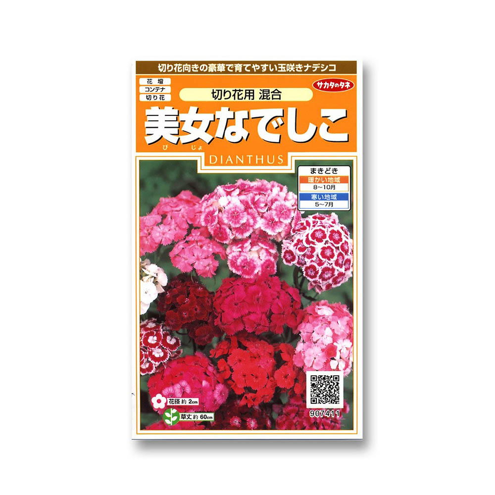 ナデシコ_美女なでしこ　春秋兼用