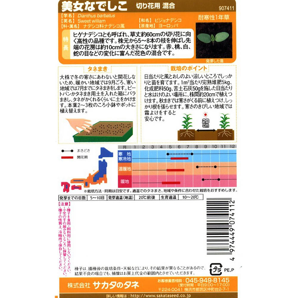 ナデシコ_美女なでしこ　春秋兼用