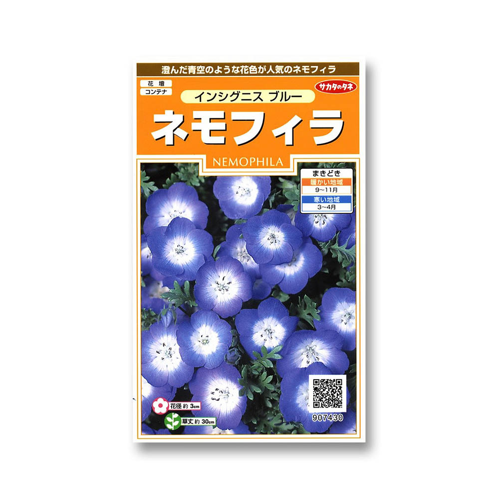 ネモフィラ_インシグニスブルー　春秋兼用