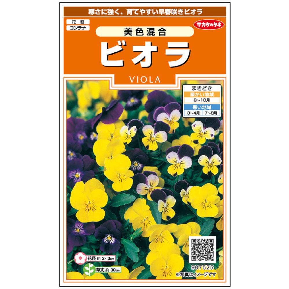 ビオラ_美色混合　春秋兼用