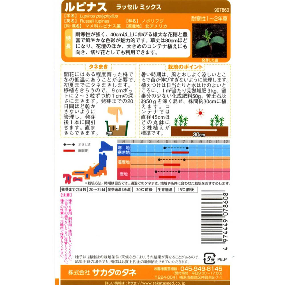ルピナス_ラッセルミックス　春秋兼用