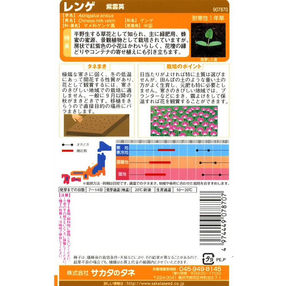レンゲ_シウンエイ　春秋兼用