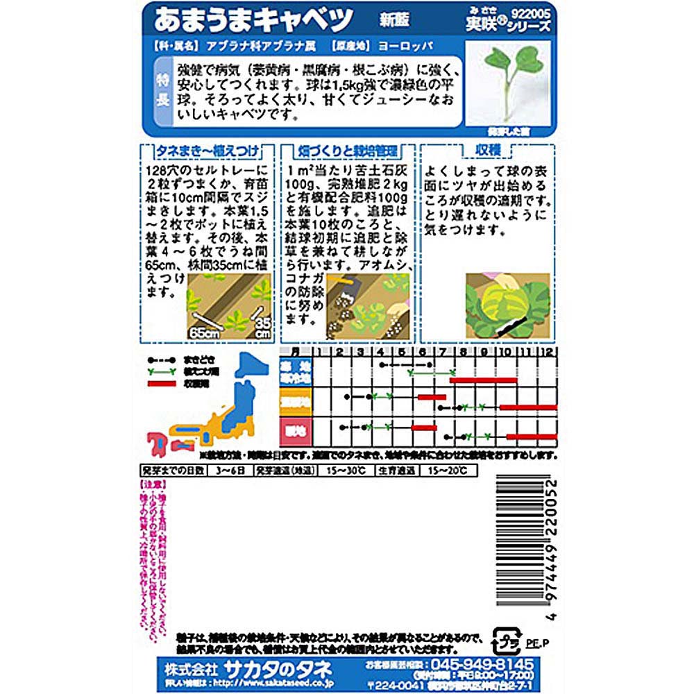 キャベツ_新藍　春秋兼用
