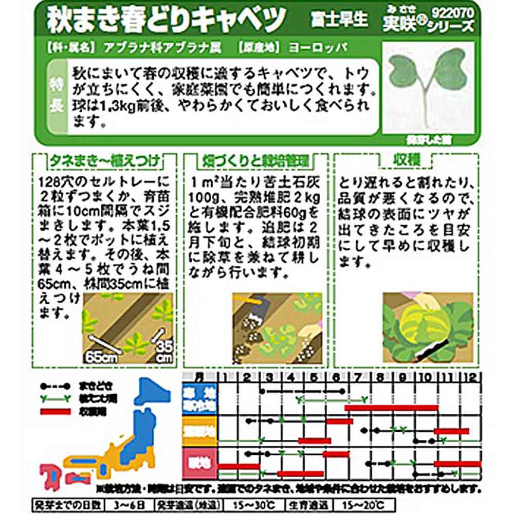 キャベツ_秋マキ春ドリキャベツ_富士早生　春秋兼用