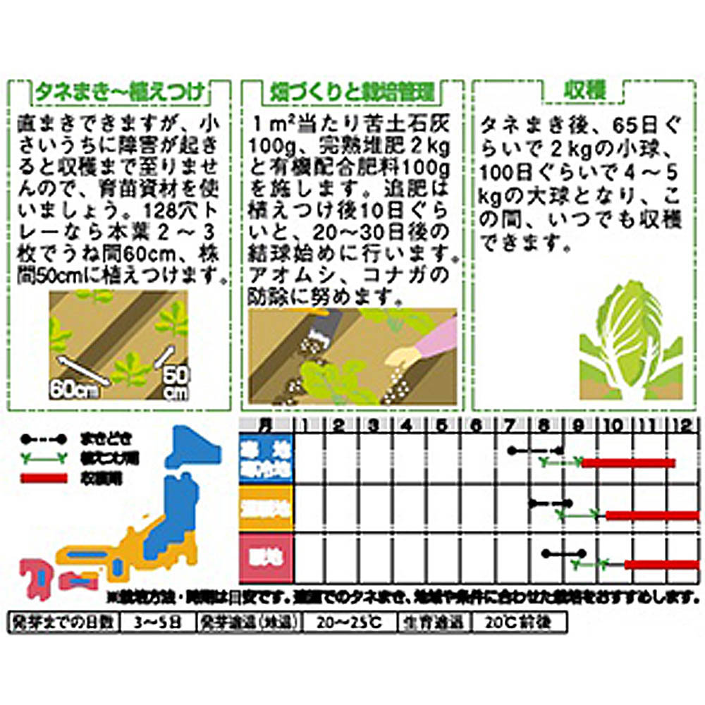 白菜_富風