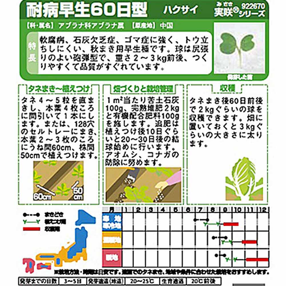 白菜_耐病早生60日型