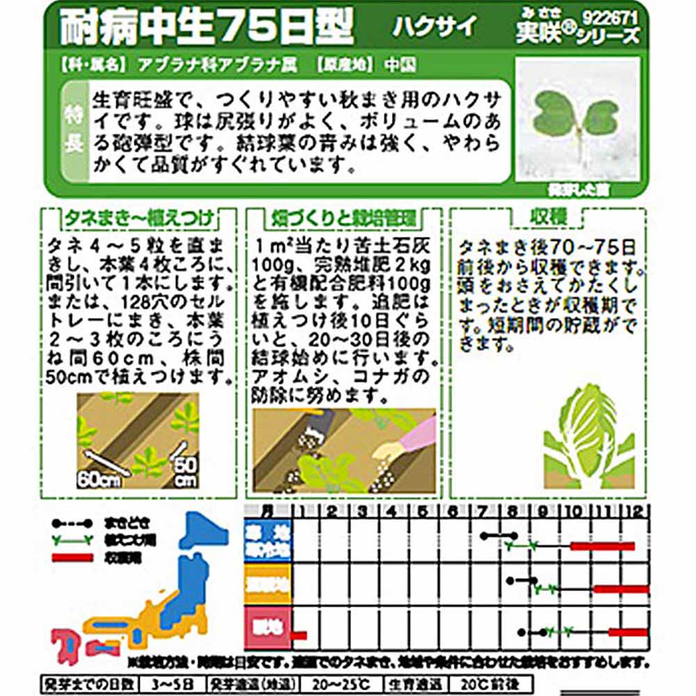 白菜_耐病中生75日型