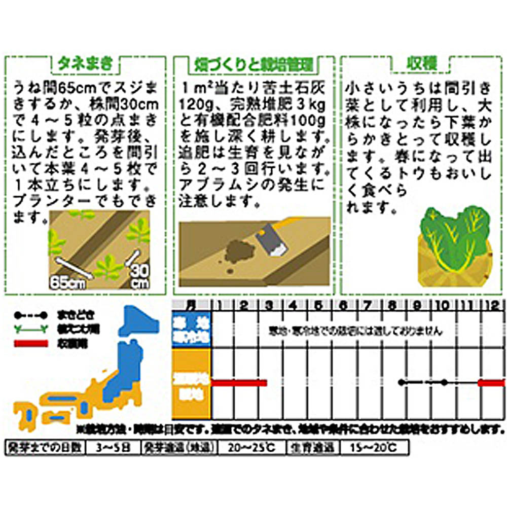 ツケナ_たかな_三池赤