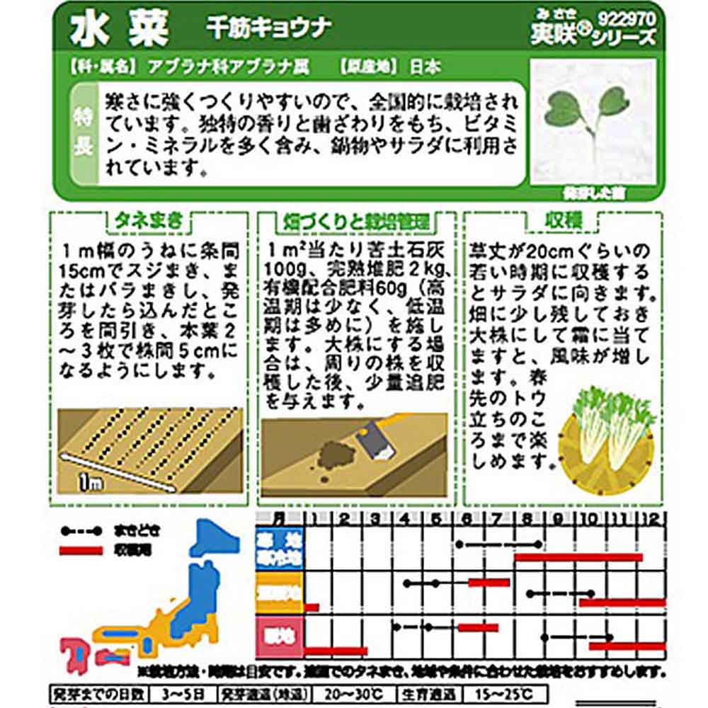 ミズナ_千筋京菜　春秋兼用