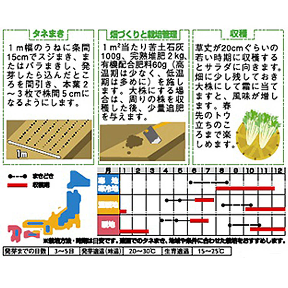 ミズナ_千筋京菜　春秋兼用